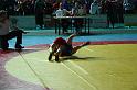 IMG_0253